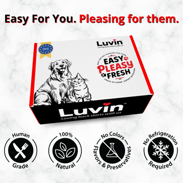 Luvin Chicken Bone Broth for Dogs