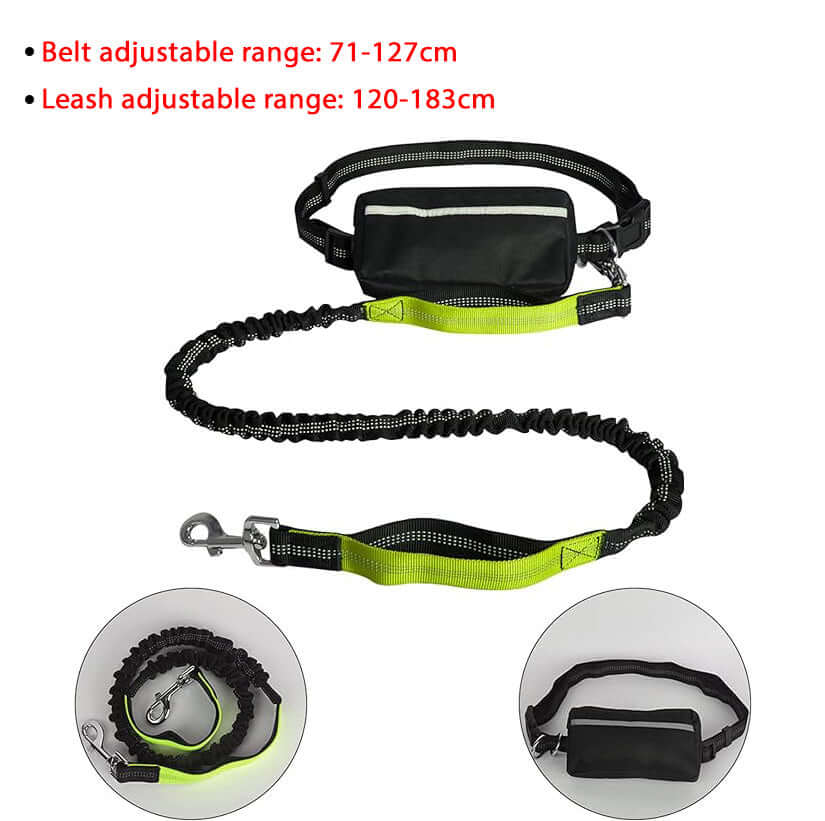 Handsfree bungee dog leash best sale