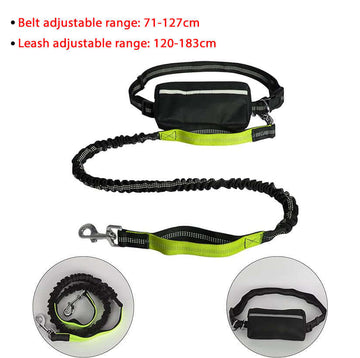 Hands Free Bungee Dog Leash with Waist Pouch
