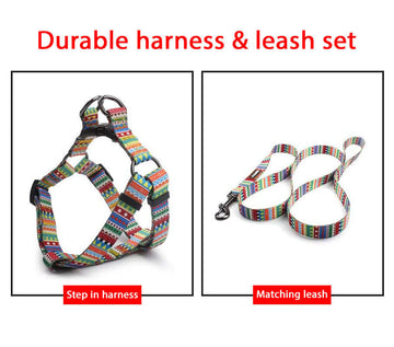 Multi-pattern Step-in Dog Cat Harness and Leash Set