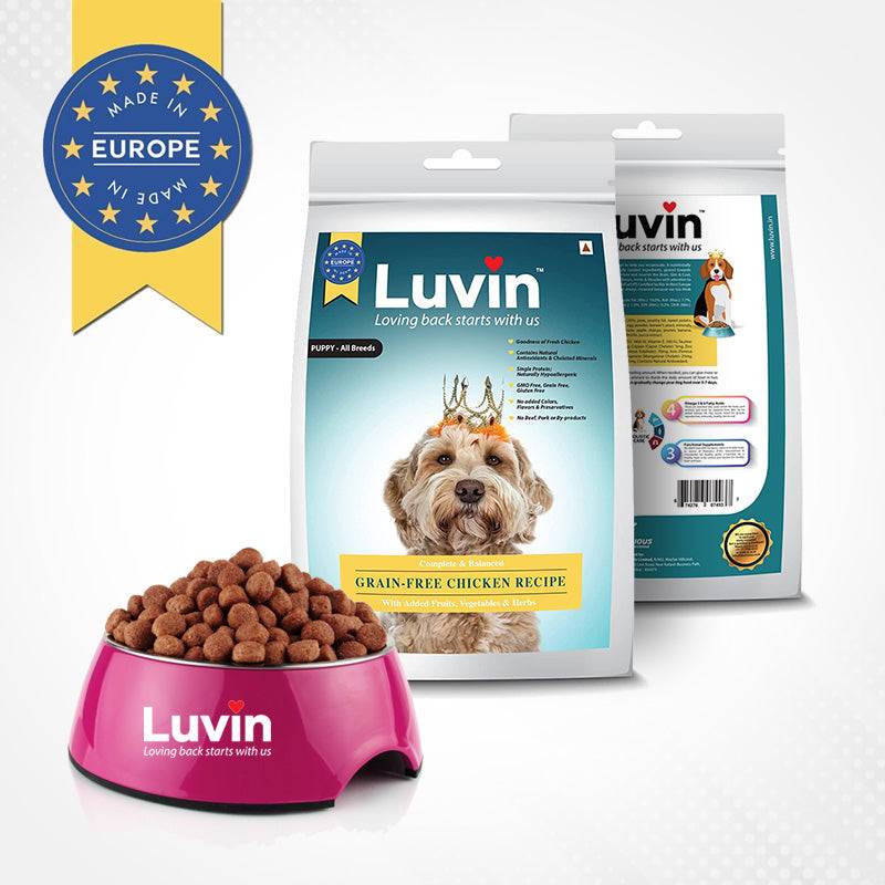 Grain free dog food cheap 20kg