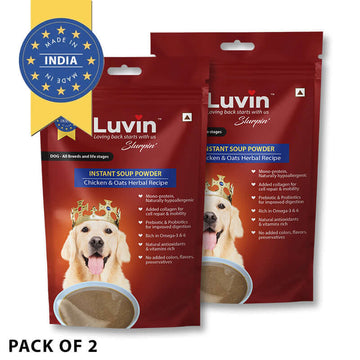 Large Adult Dog Food & Treat Combo - Monthly Pack
