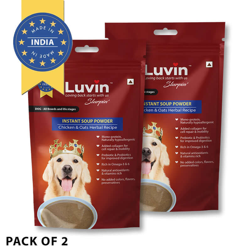 Large Adult Dog Food Treat Combo Bi Weekly Pack